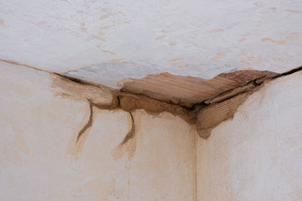  Millis Clicquot, MA Water damage restoration Pros