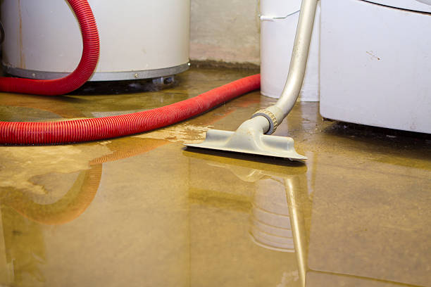 Trusted Water Damage Restoration in Millis Clicquot, MA | Fast, Reliable, and Ready to Assist You